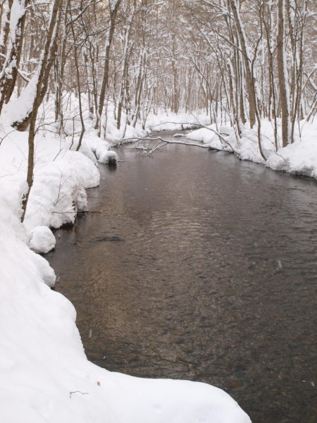 奥入瀬diary | 奥入瀬フィールドミュージアム