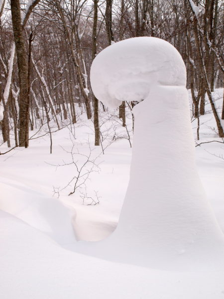 奥入瀬diary | 奥入瀬フィールドミュージアム