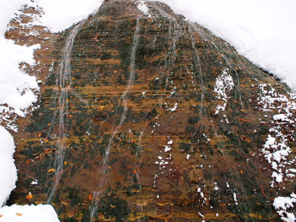 奥入瀬diary | 奥入瀬フィールドミュージアム